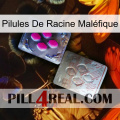 Pilules De Racine Maléfique 38